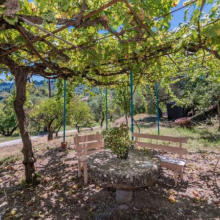 Amalia Country House Ano Yerakarion Экстерьер фото